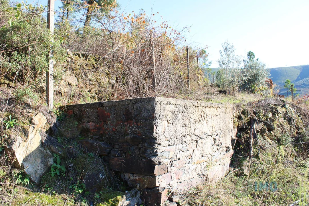 Quinta T0 para Venda em Moutinhosa Foto 48