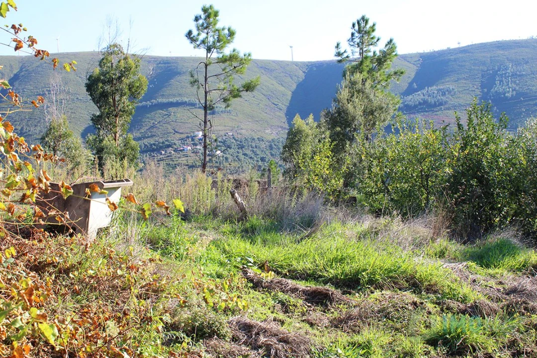 Quinta T0 para Venda em Moutinhosa Foto 49