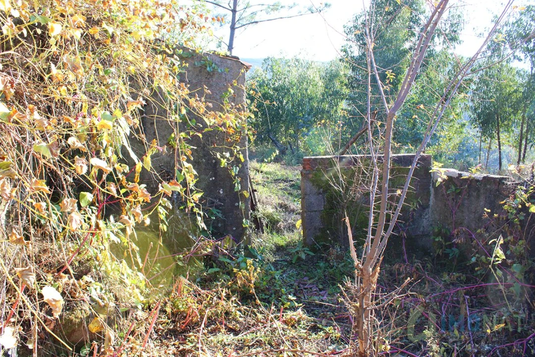 Quinta T0 para Venda em Moutinhosa Foto 50