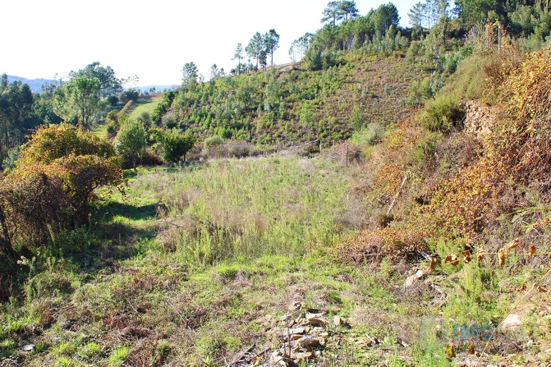 Quinta T0 para Venda em Moutinhosa Foto 51