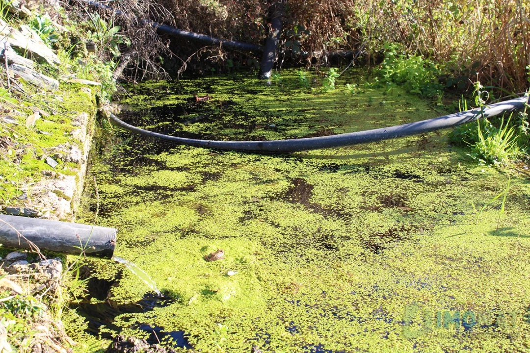 Quinta T0 para Venda em Moutinhosa Foto 53