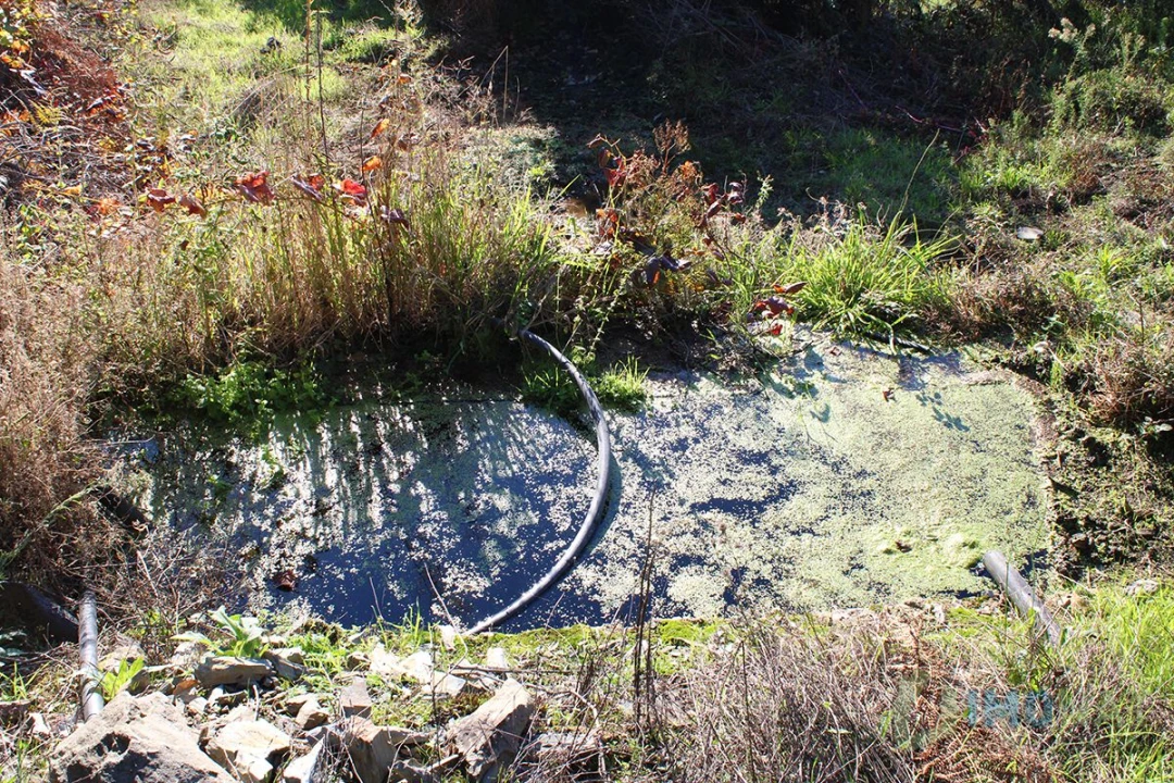 Quinta T0 para Venda em Moutinhosa Foto 54