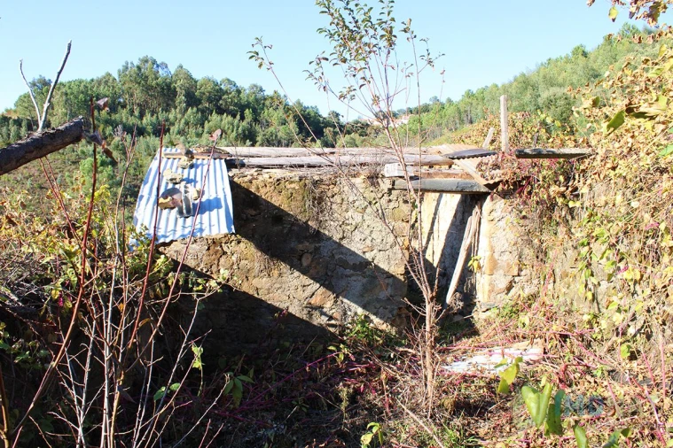 Quinta T0 para Venda em Moutinhosa Foto 10