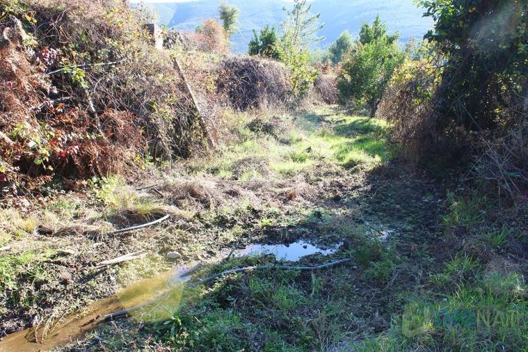 Quinta T0 para Venda em Moutinhosa Foto 6