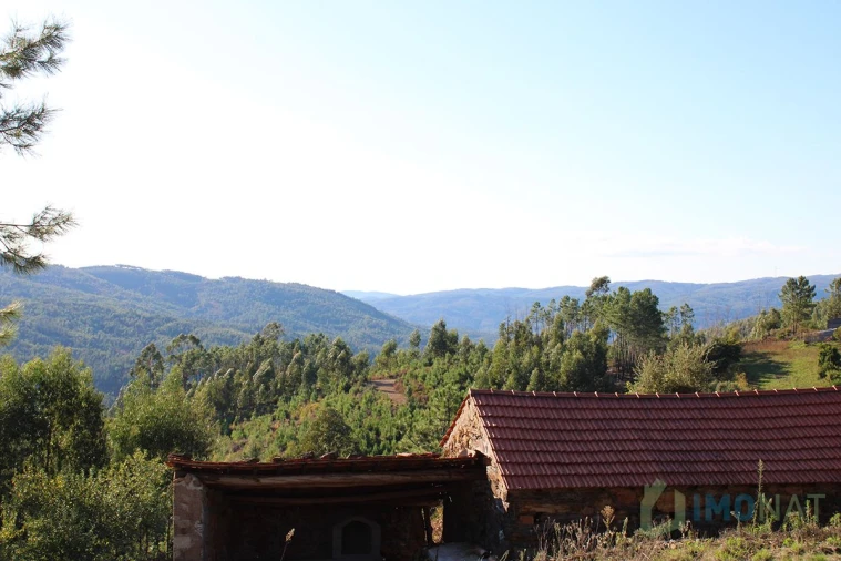 Quinta T0 para Venda em Moutinhosa Foto 11