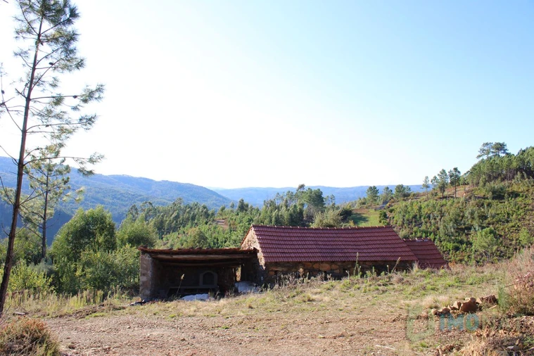 Quinta T0 para Venda em Moutinhosa Foto 15