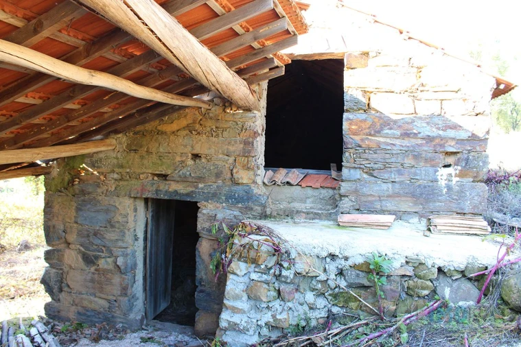 Quinta T0 para Venda em Moutinhosa Foto 16