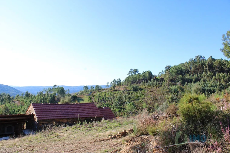 Quinta T0 para Venda em Moutinhosa Foto 18