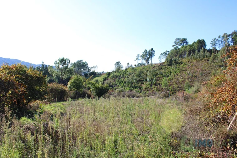 Quinta T0 para Venda em Moutinhosa Foto 21