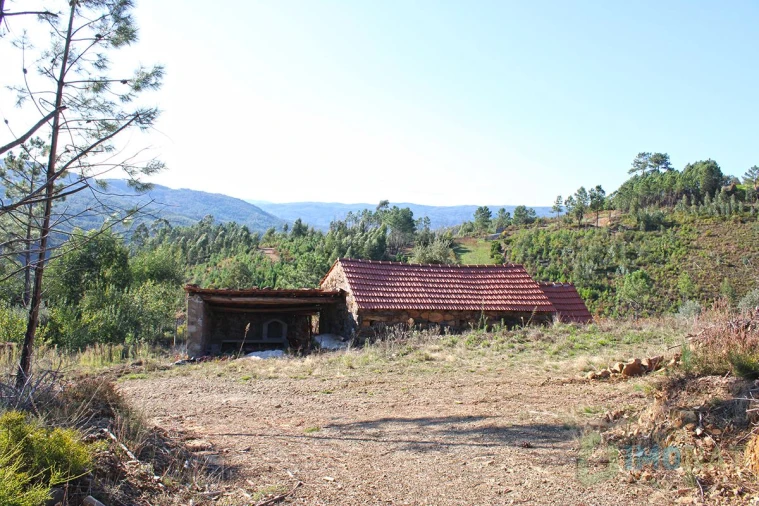 Quinta T0 para Venda em Moutinhosa