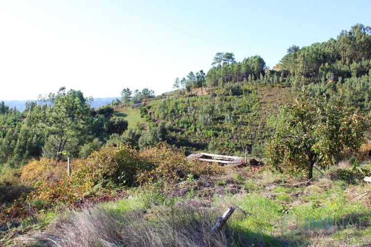 Quinta T0 para Venda em Moutinhosa Foto 28