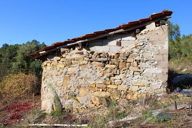 Quinta T0 para Venda em Moutinhosa Foto 36