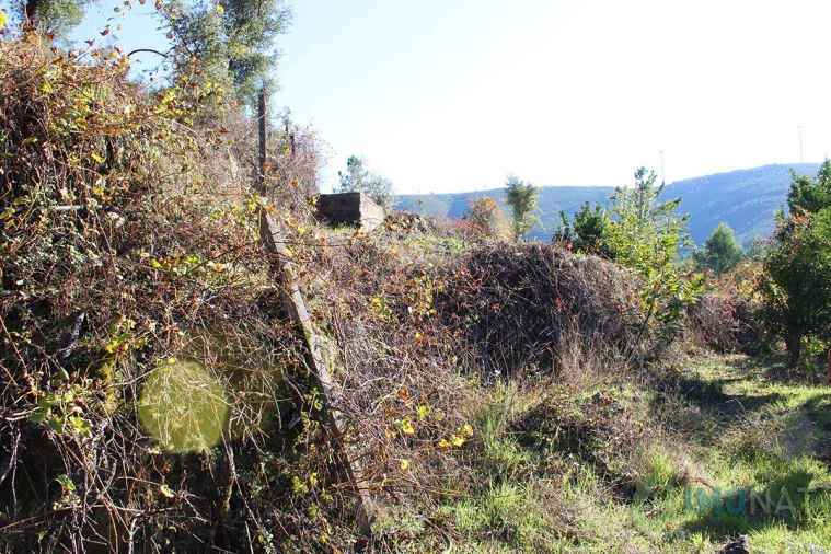 Quinta T0 para Venda em Moutinhosa Foto 39