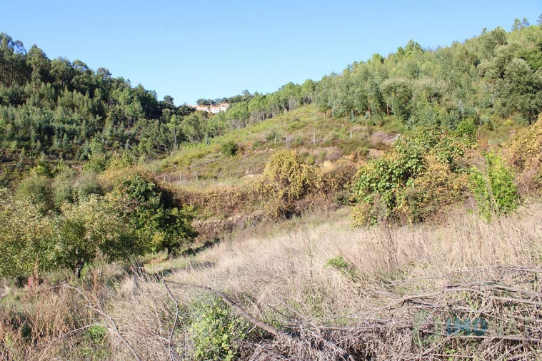 Quinta T0 para Venda em Moutinhosa Foto 45