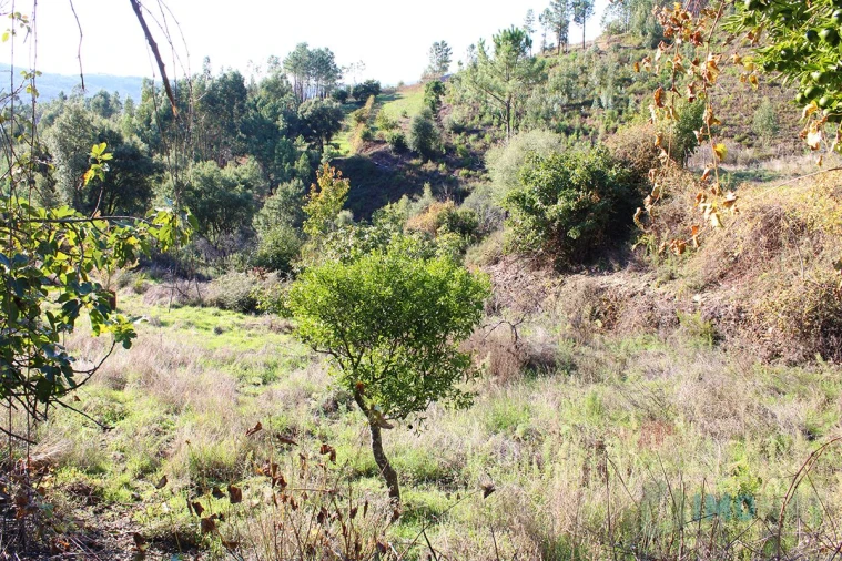 Quinta T0 para Venda em Moutinhosa Foto 46