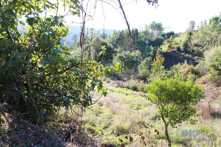 Quinta T0 para Venda em Moutinhosa Foto 47