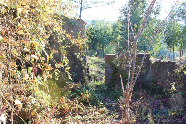 Quinta T0 para Venda em Moutinhosa Foto 50