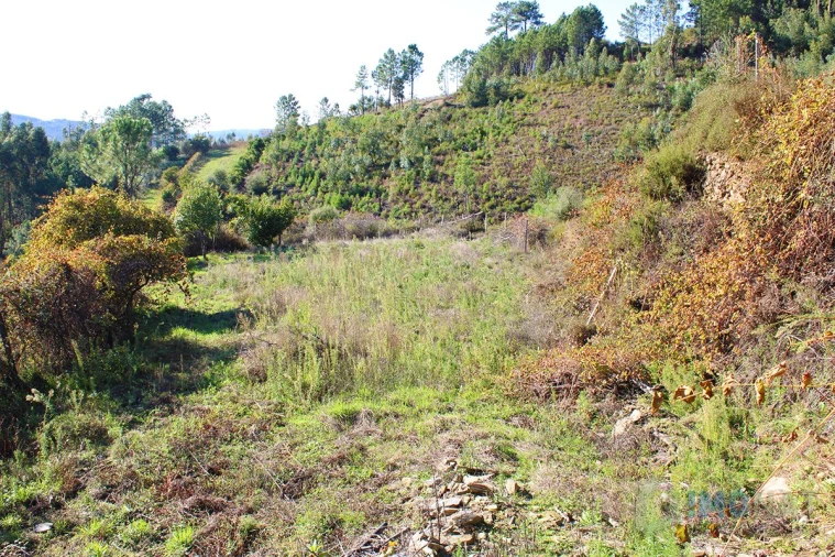 Quinta T0 para Venda em Moutinhosa Foto 51