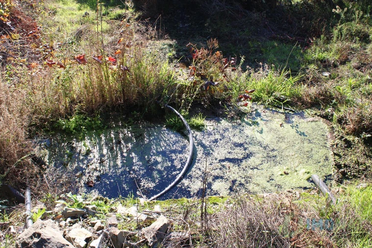 Quinta T0 para Venda em Moutinhosa Foto 54