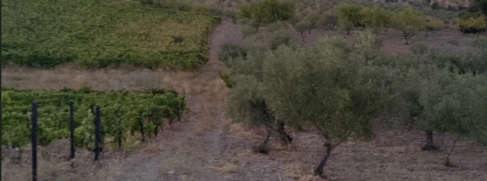 Terreno para Venda em Freixo de Espada à Cinta Foto 2