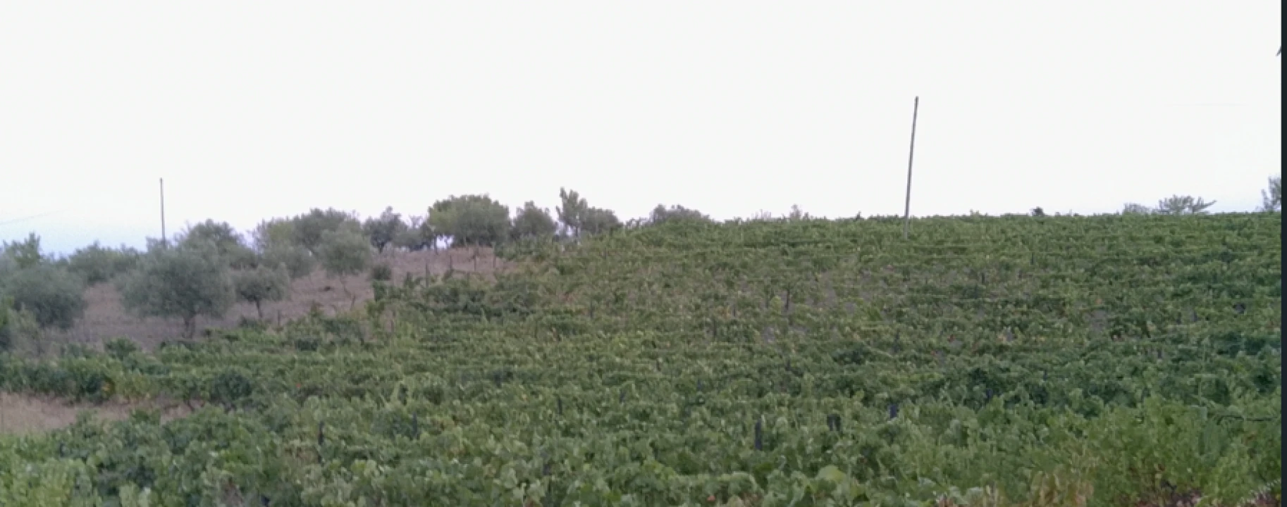 Terreno para Venda em Freixo de Espada à Cinta Foto 1