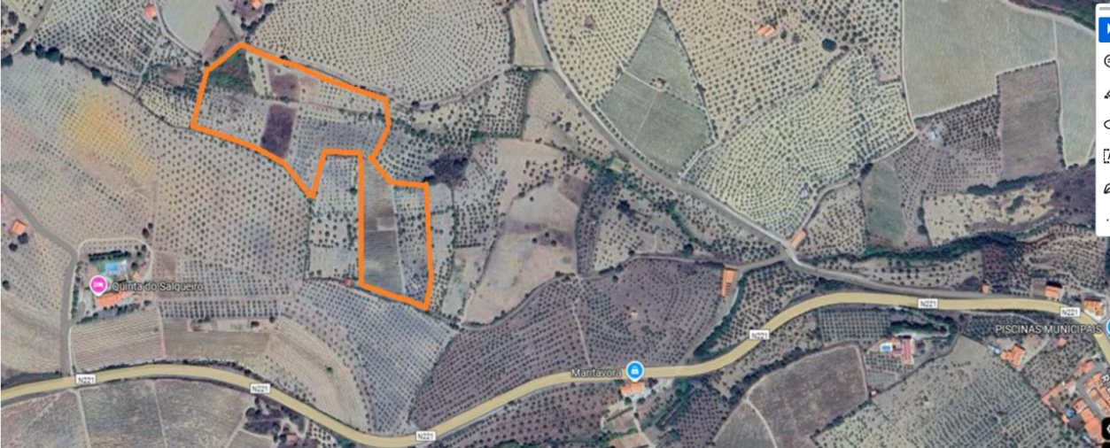 Terreno para Venda em Freixo de Espada à Cinta Foto 5