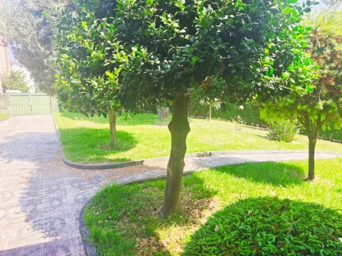 Moradia T5 para Venda em Ermesinde Foto 31