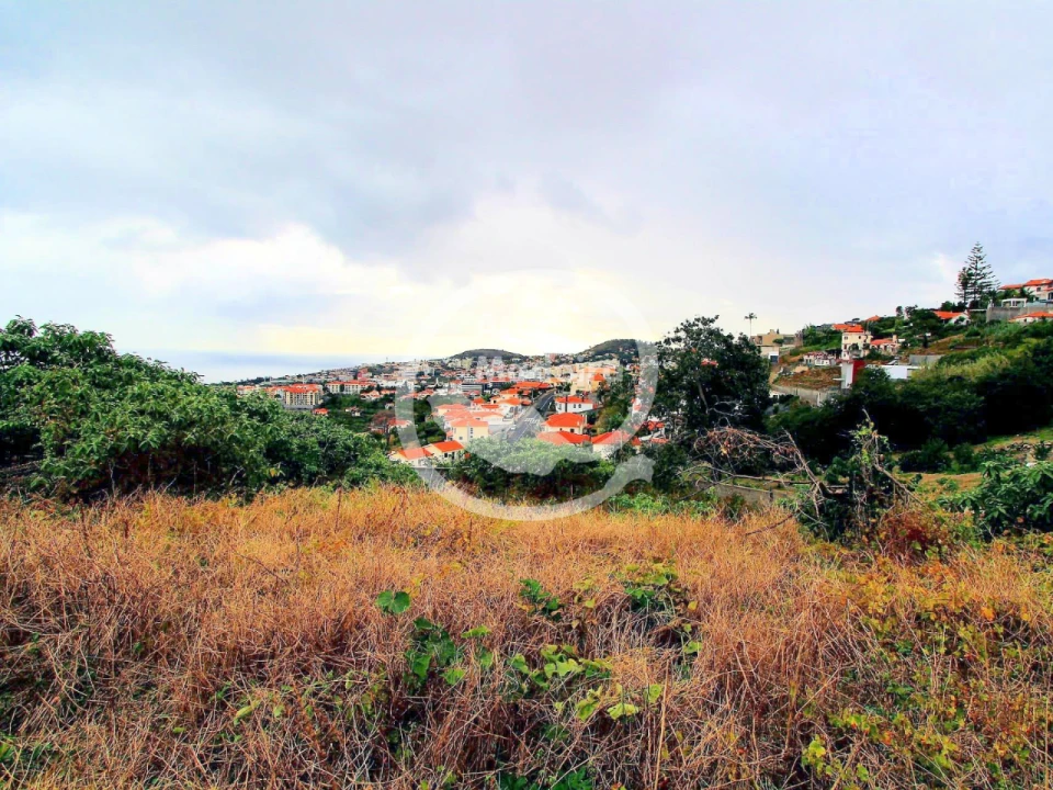 Terreno P/ Prédio para Venda em Funchal Foto 6