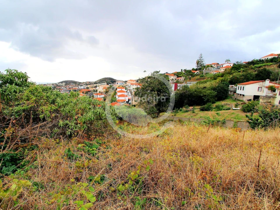Terreno P/ Prédio para Venda em Funchal Foto 5