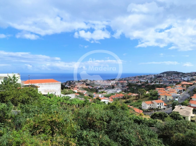Terreno P/ Prédio para Venda em Funchal Foto 7