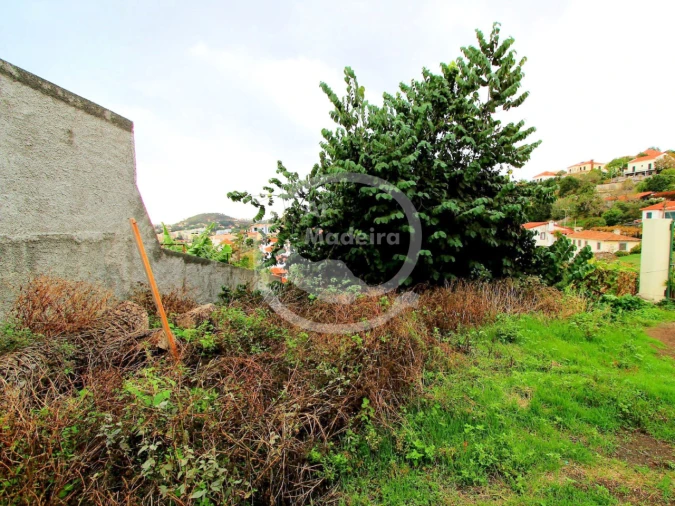 Terreno P/ Prédio para Venda em Funchal Foto 4