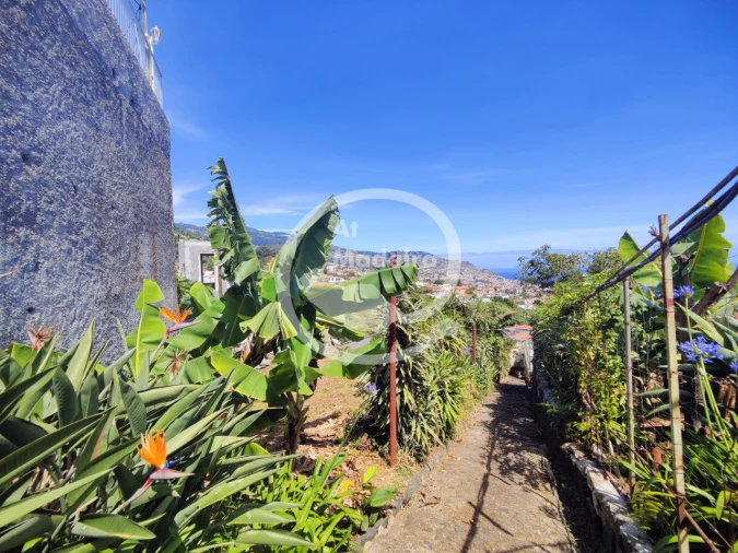 Moradia T3 para Venda em Funchal Foto 5