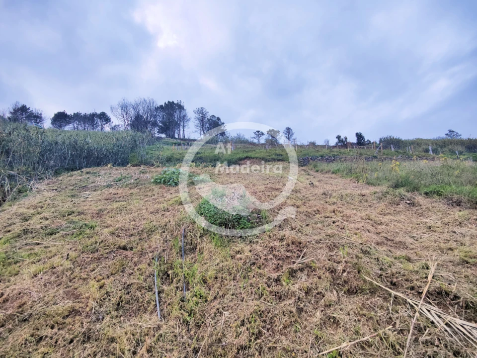 Moradia T2 para Venda em Fajã da Ovelha Foto 13