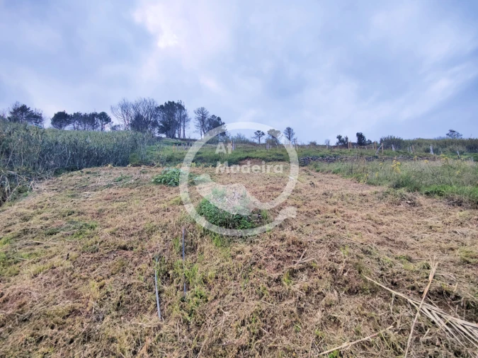 Moradia T2 para Venda em Fajã da Ovelha Foto 13