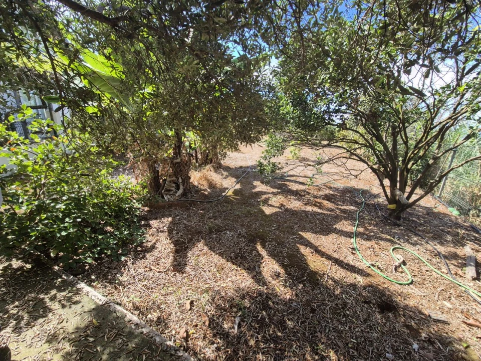 Quinta T-2 para Venda em Quebrada Foto 28