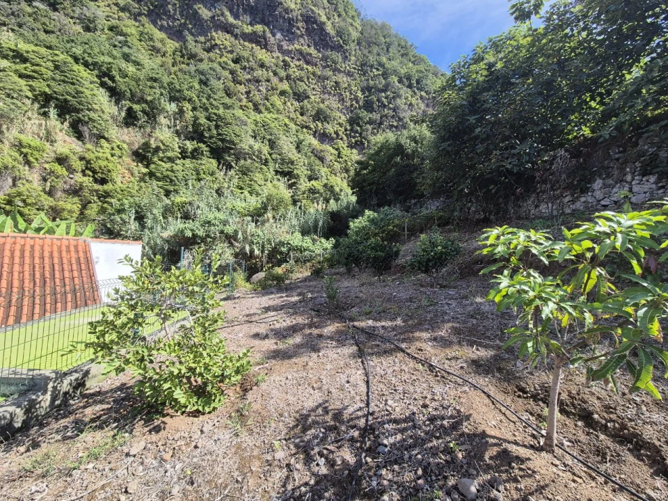 Quinta T-2 para Venda em Quebrada Foto 25