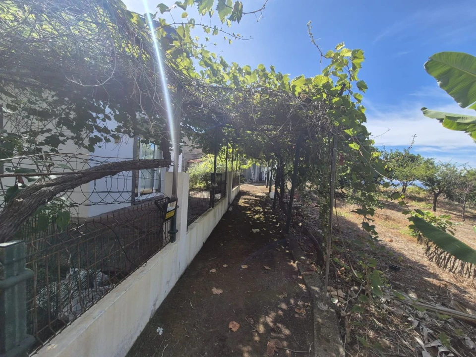 Quinta T-2 para Venda em Quebrada Foto 33