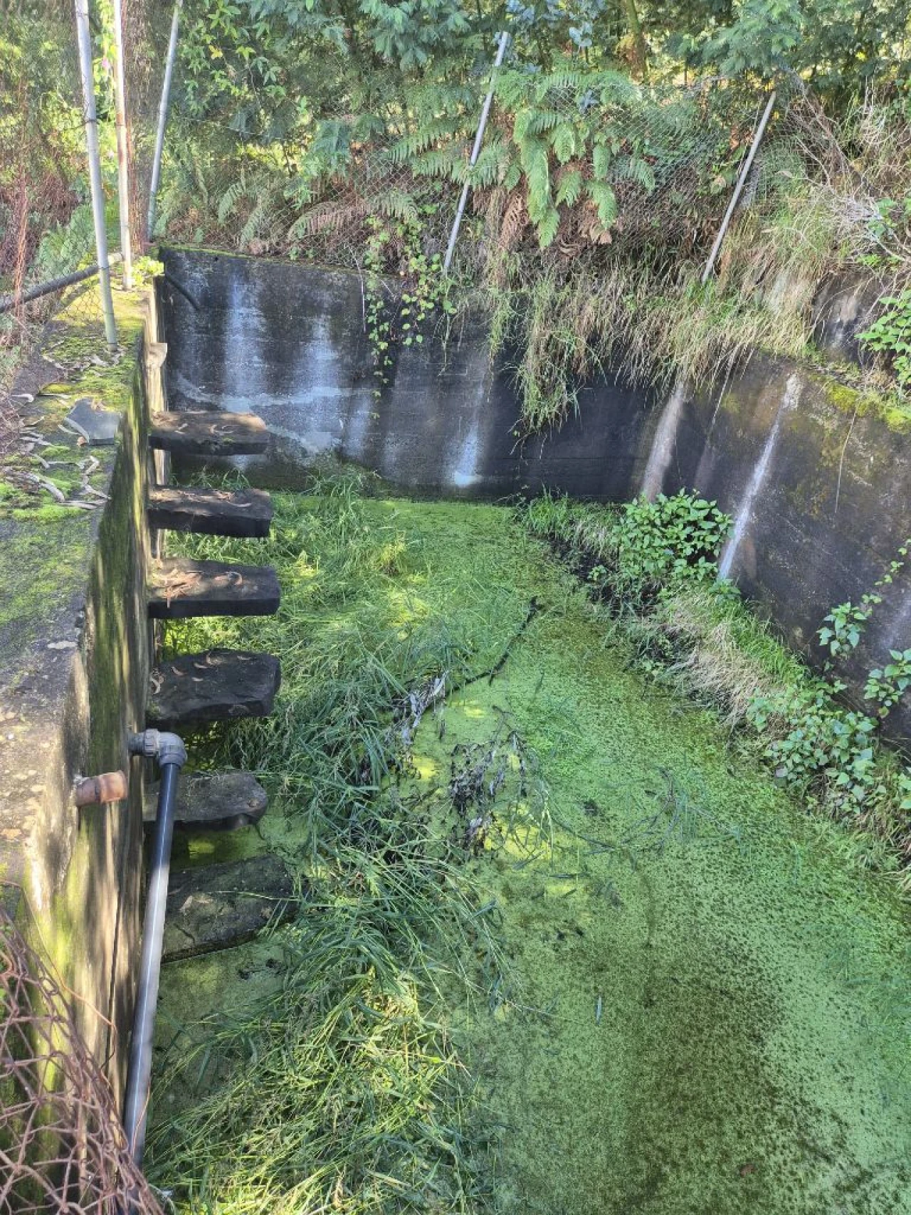 Terreno P/ Prédio para Venda em Rocha de Baixo Foto 7