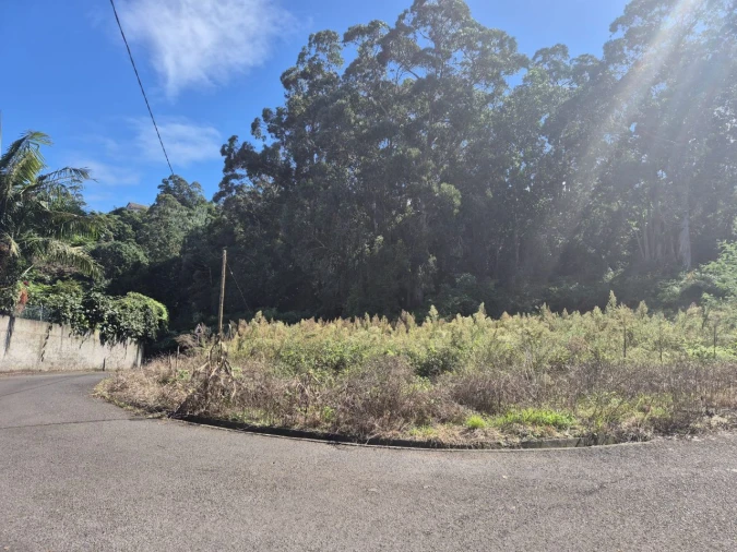 Terreno P/ Prédio para Venda em Rocha de Baixo Foto 6