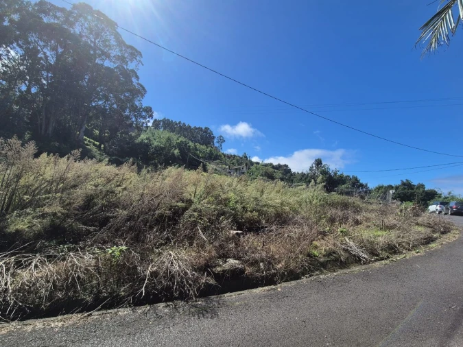 Terreno P/ Prédio para Venda em Rocha de Baixo Foto 8