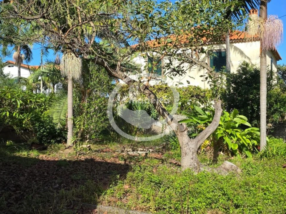 Moradia T4 para Venda em São Vicente Foto 8