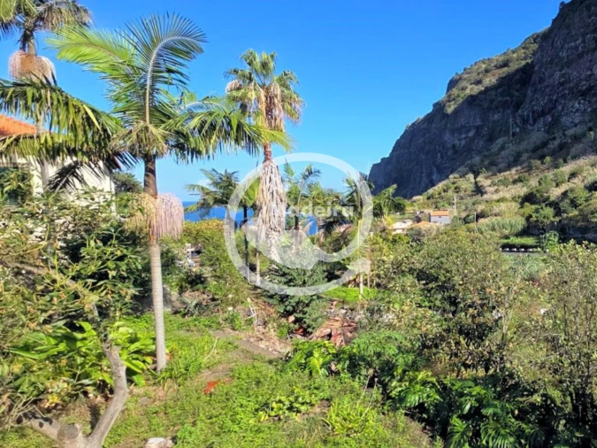 Moradia T4 para Venda em São Vicente Foto 5