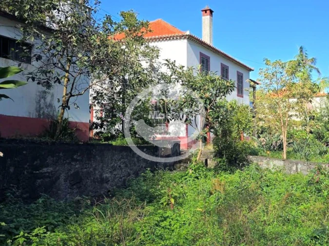 Moradia T4 para Venda em São Vicente Foto 4