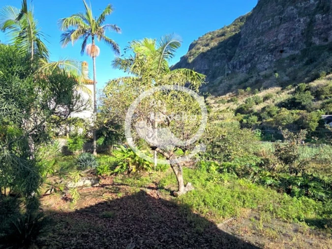 Moradia T4 para Venda em São Vicente Foto 6