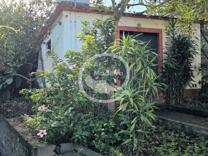 Moradia T4 para Venda em São Vicente Foto 11