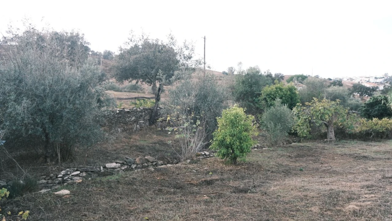 Terreno para Venda em Brochas Foto 11