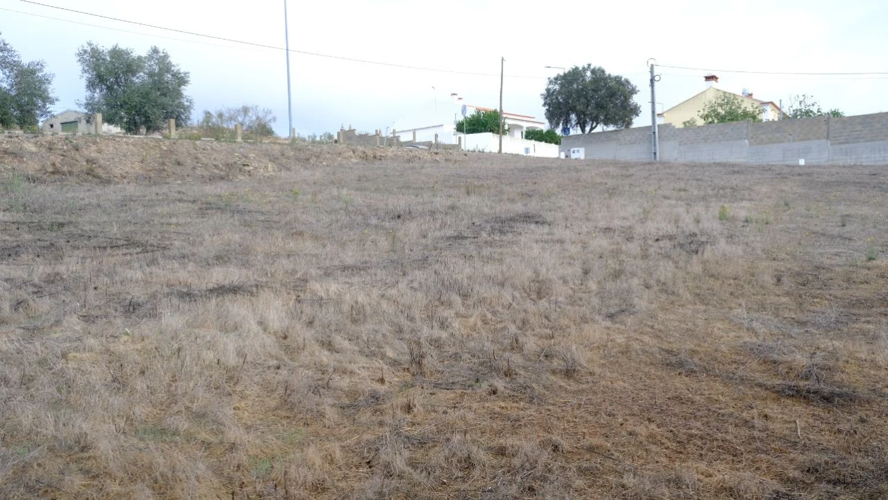 Terreno para Venda em Brochas Foto 7