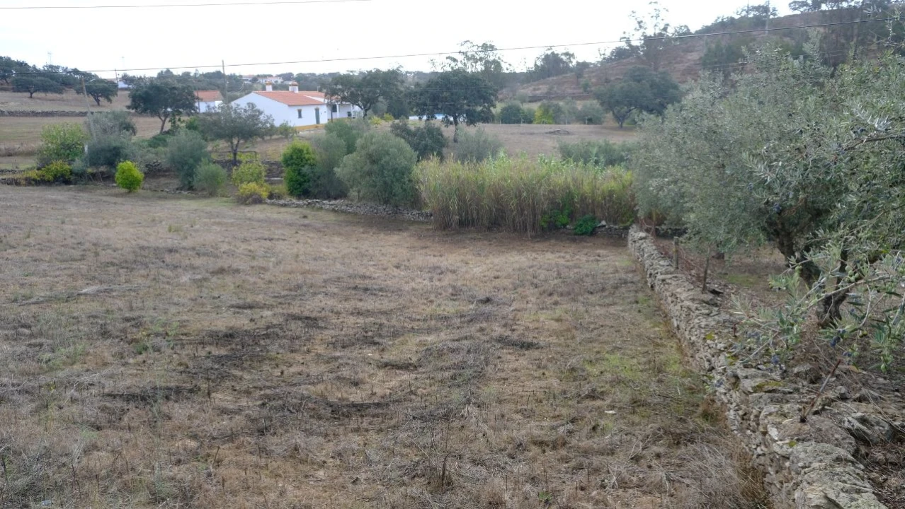Terreno para Venda em Brochas Foto 14