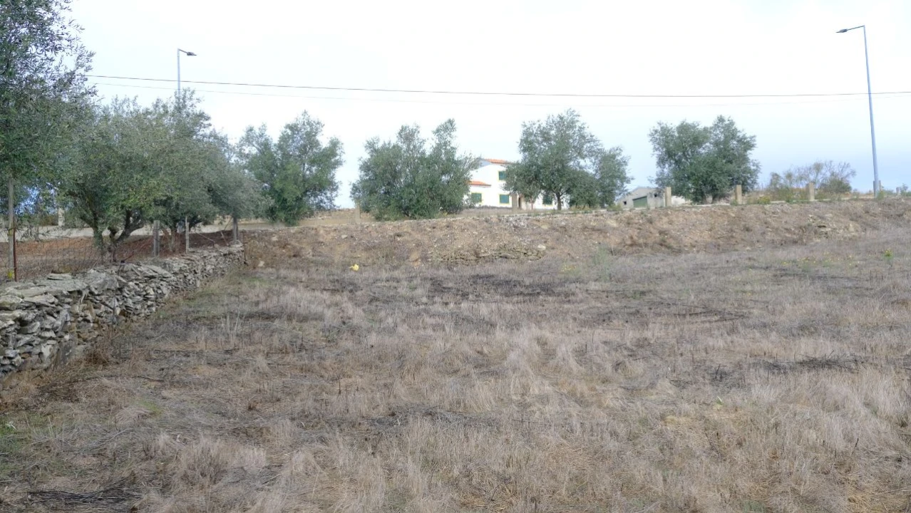 Terreno para Venda em Brochas Foto 9