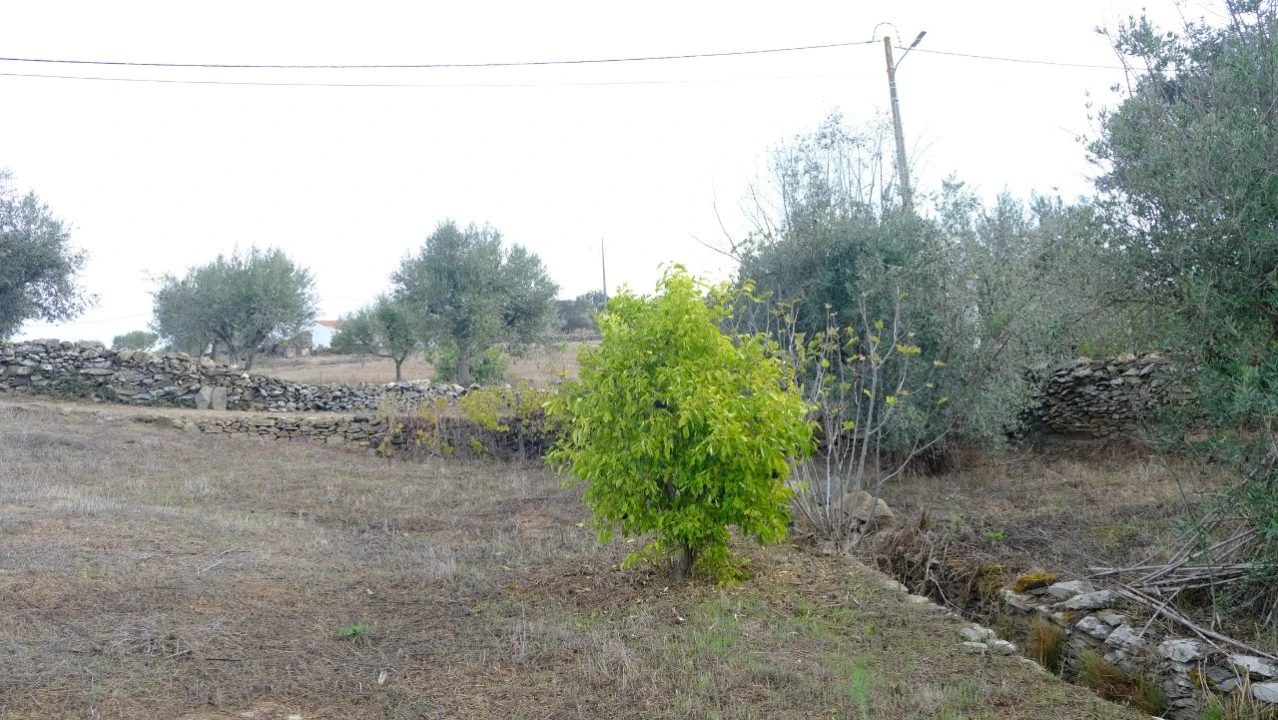 Terreno para Venda em Brochas Foto 13